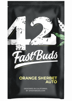 Orange Sherbet Auto