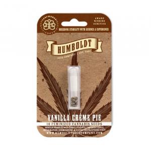 Vanilla Creme Pie