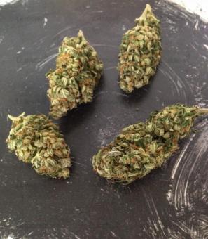 Northern Lights Auto - картинка 3