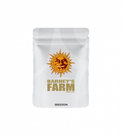 Blueberry Cheese Auto