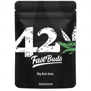 Big Bud Auto