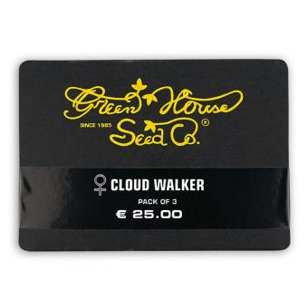 Cloud Walker - картинка 2