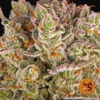 Pineapple Express - картинка 5