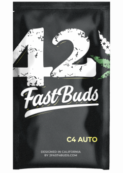 C4 Auto - картинка 9