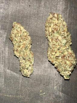 Exodus Cheese - картинка 8