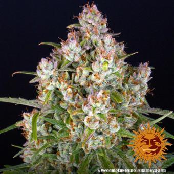 Wedding Cake Auto - картинка 9