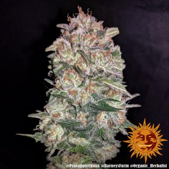 Pineapple Chunk - картинка 13