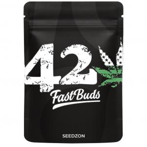 Big Bud Auto