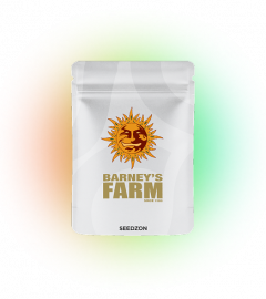 Tangerine Dream Auto