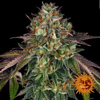 Wedding Cake - картинка 5