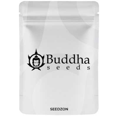 Buddha White Widow