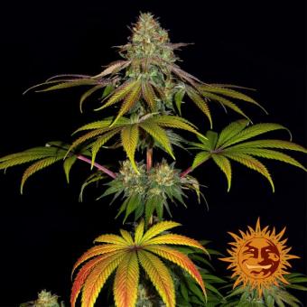 Wedding Cake - картинка 7